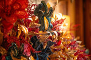 Installation Of A Palace House Christmas Beginsw870px H580px 600X400