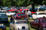 Simply Jaguar 1 (1)