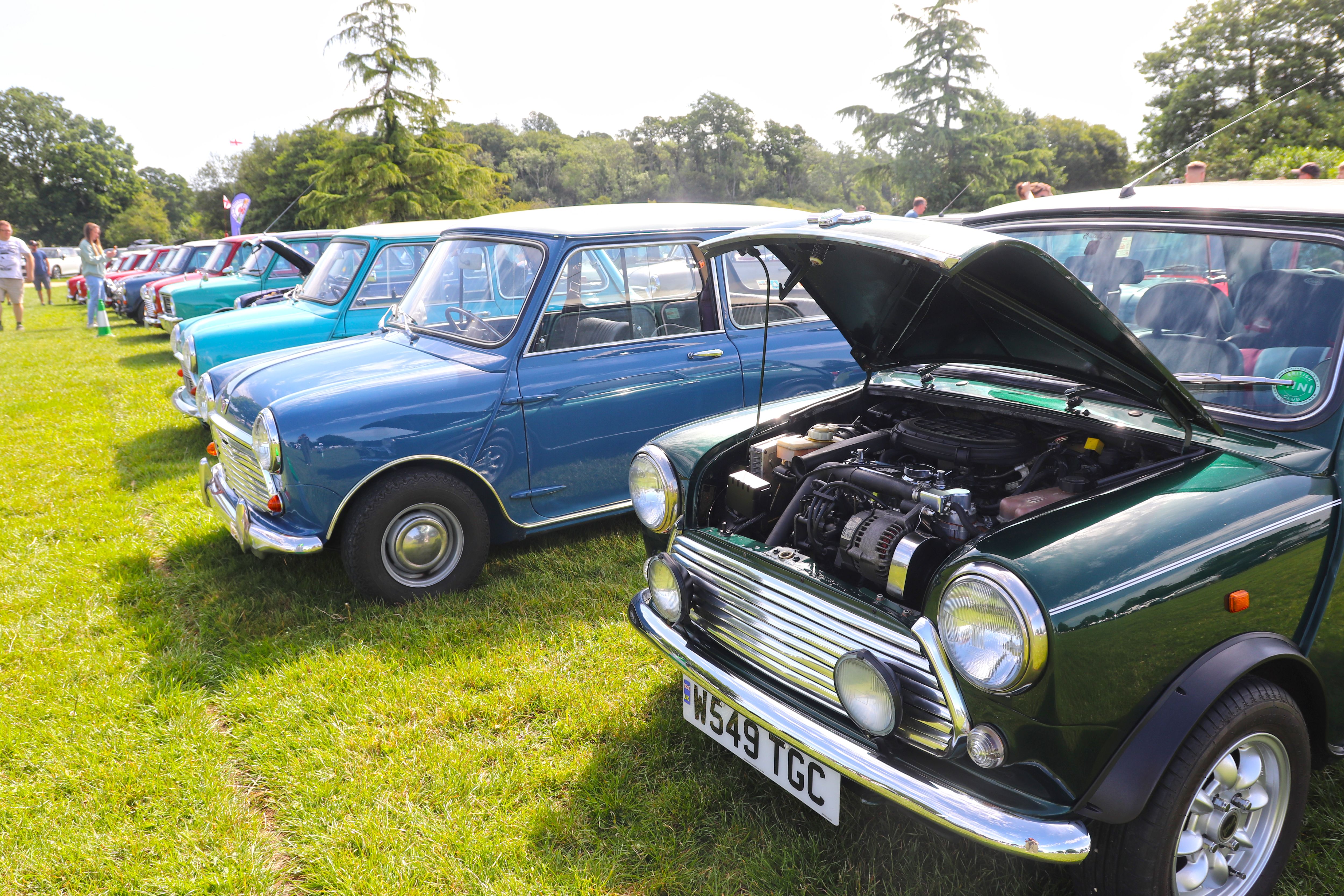National Mini Day 8
