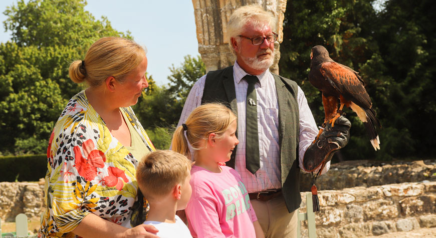 Falconry At Beaulieu This Summerw870px H475px