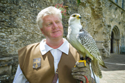 Desktop News Falconry 870X580