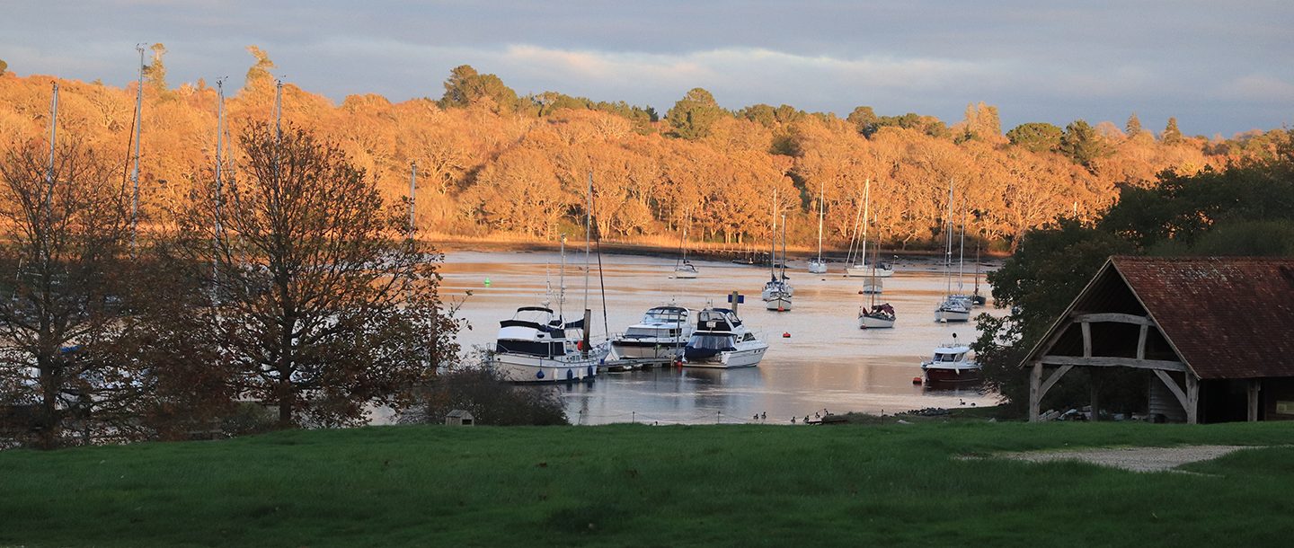 Desktop Banner Autumn River 1440X610