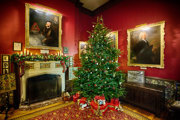 1Beaulieu Christmas Palac