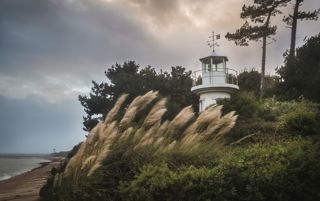 Things To Do In The New Forest New The Coast