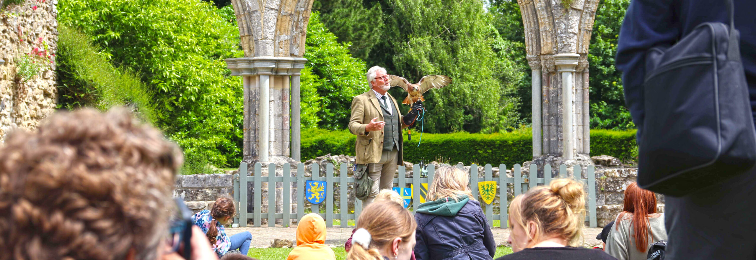 Desktop News Summer 2024 Falconry 1 Banner870px H300px Scaled