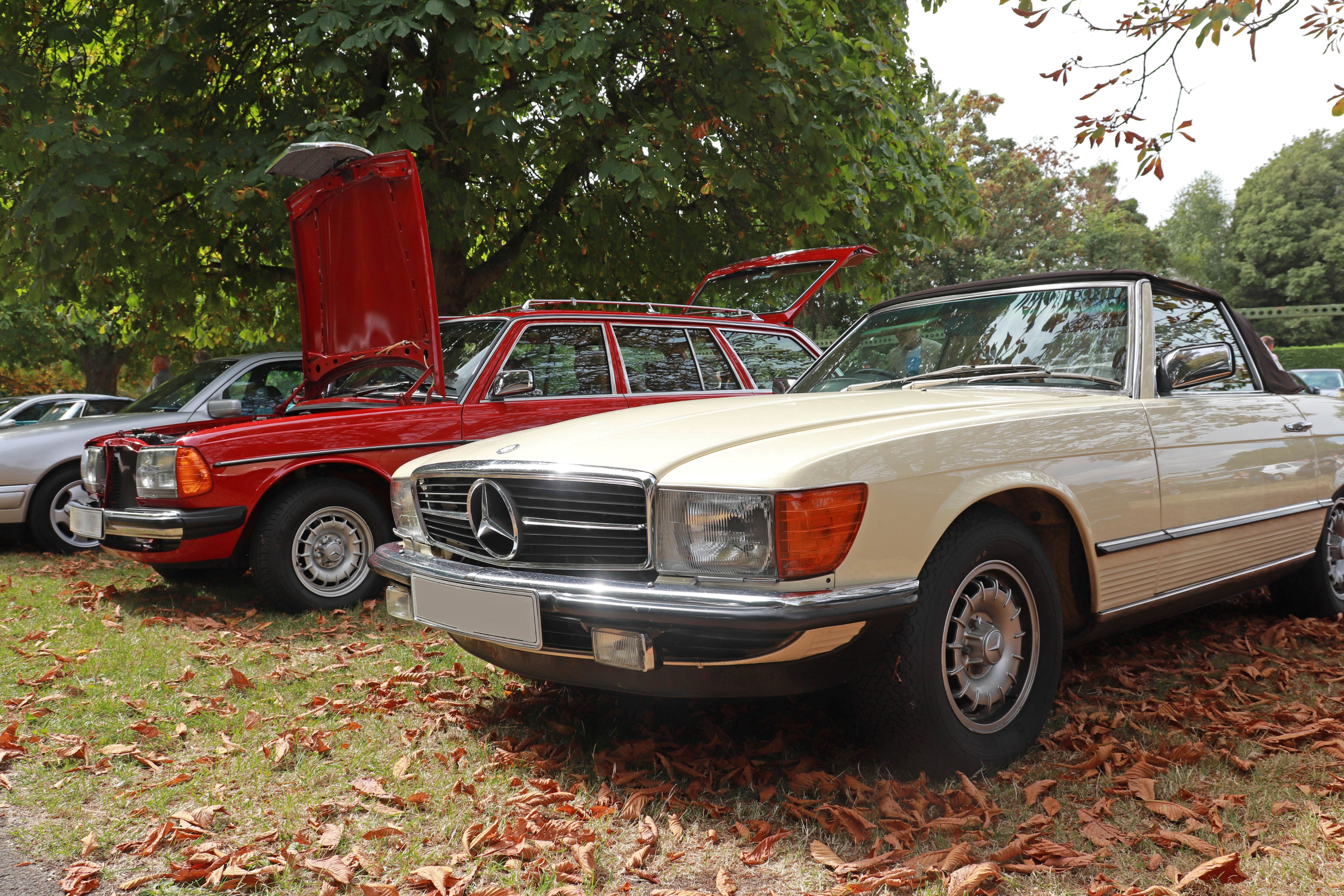 Simply Mercedes 5