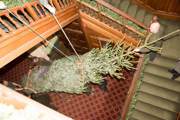 Desktop News Palace House Blog Christmas Tree Ropes