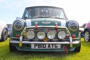 National Mini Day