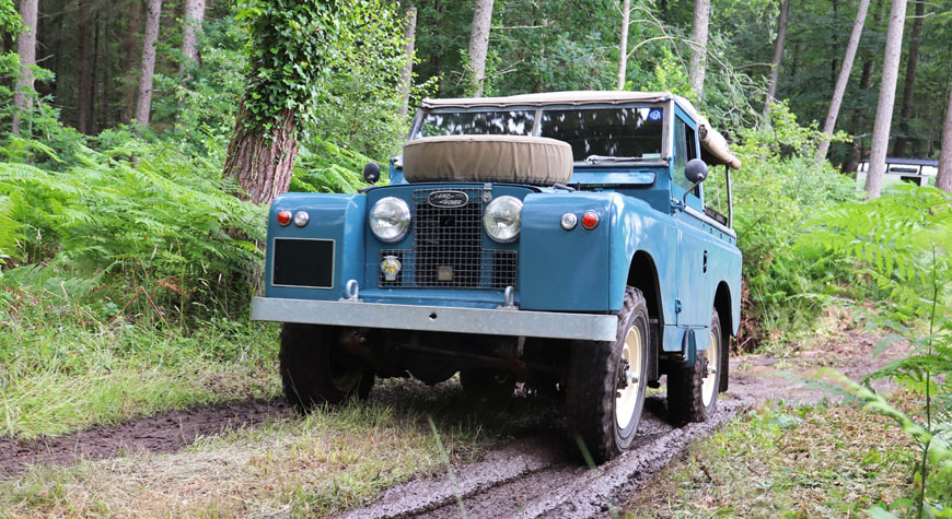 Simply Land Rover Forest 3
