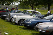 Simply Jaguar 1