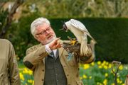 Falconer 600X400