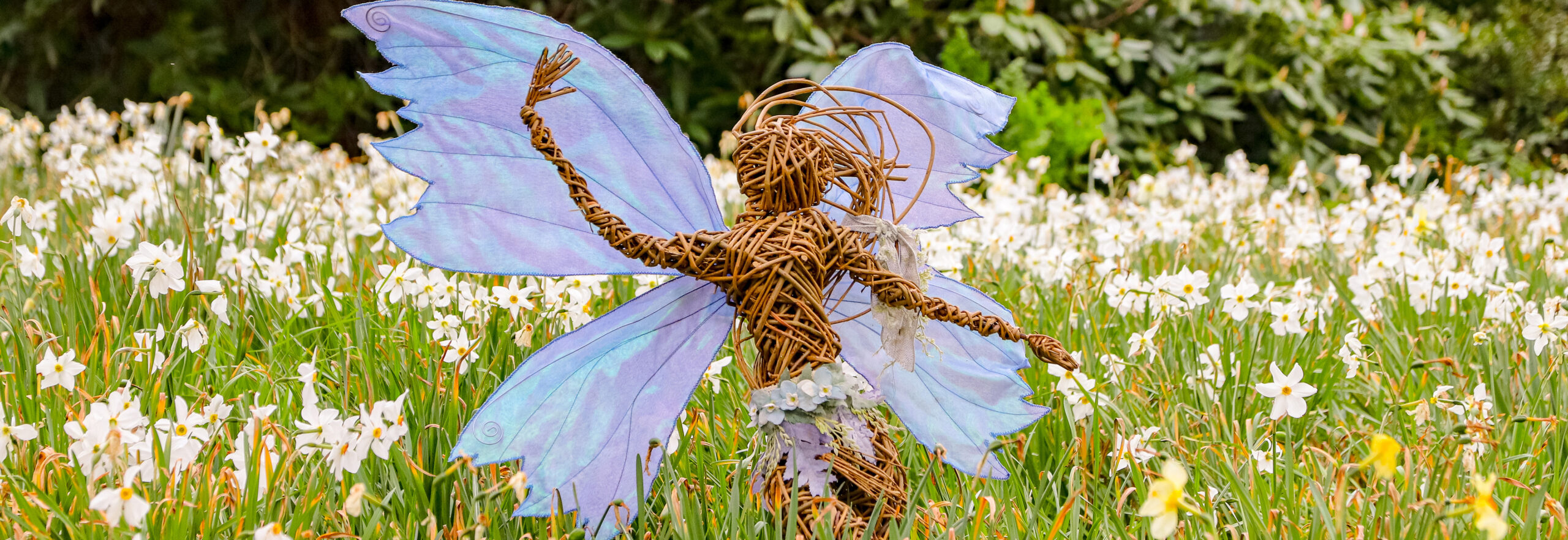 Fairies News Item Header Image Scaled