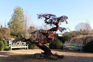 Love Lock Tree 1