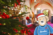 New Montagu Bear Trail Around Beaulieuw870px H580px 300X200