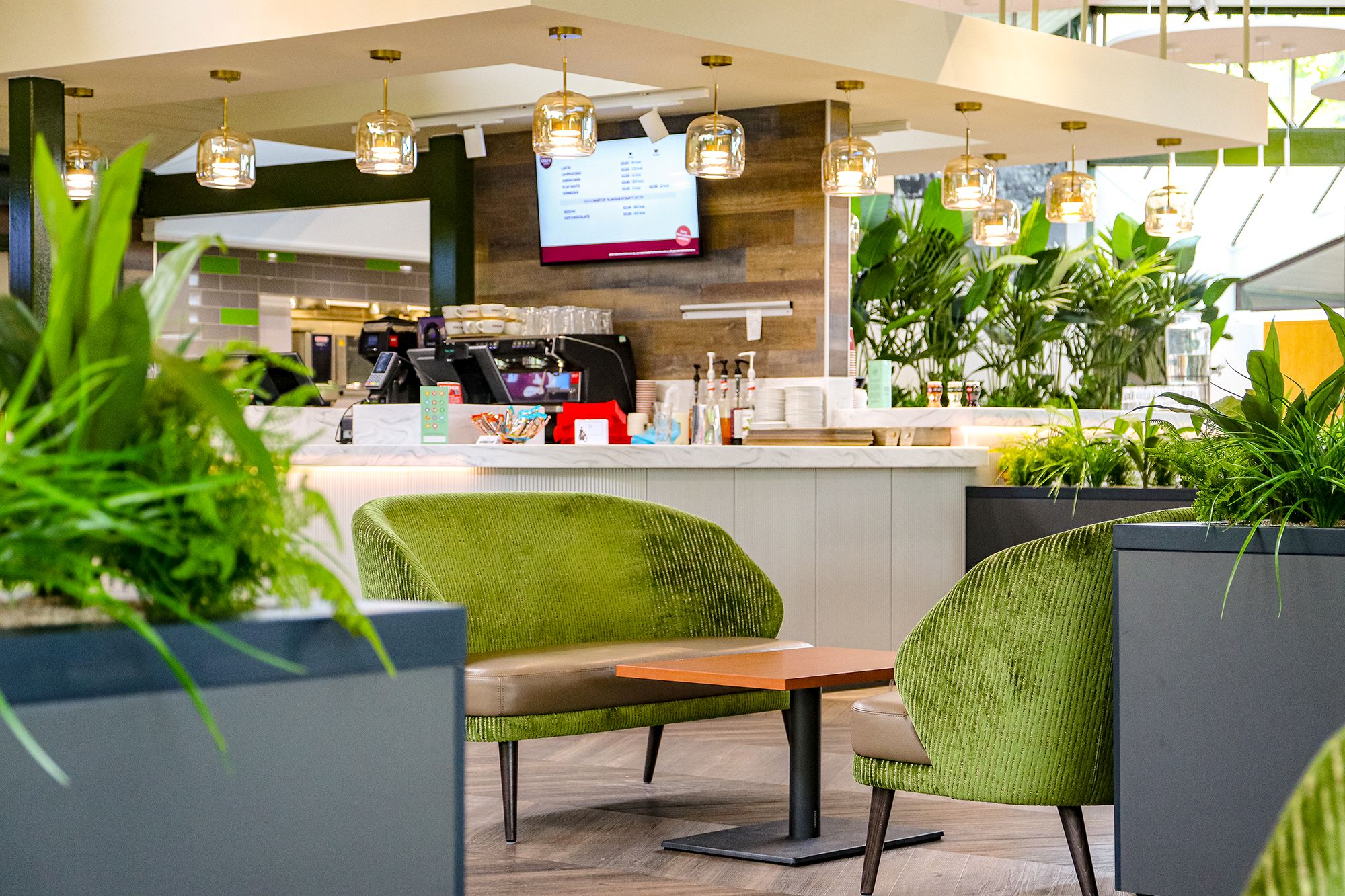 Beaulieu Brabazon Refurbishment 2024 Coffee Shop