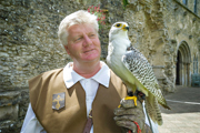 Desktop News Summer Falconry Tor 870X580