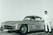 Gullwing Royal