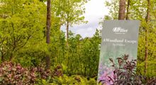 The Hillier Experience E1738317425705