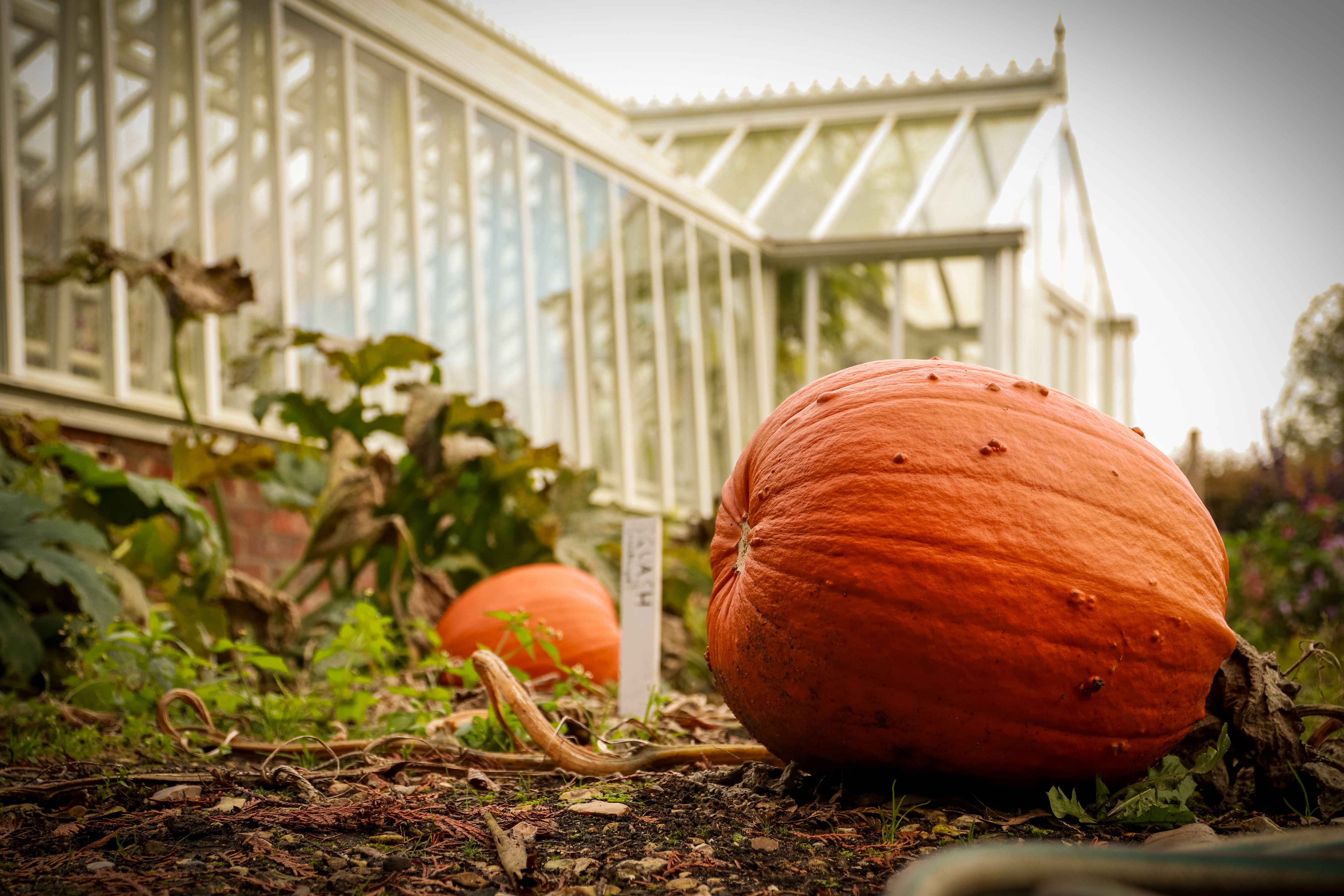 Grounds And Gardens October Half Term