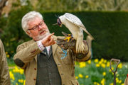 Desktop News May Ht Falconry Presentationw870px H580px 600X400