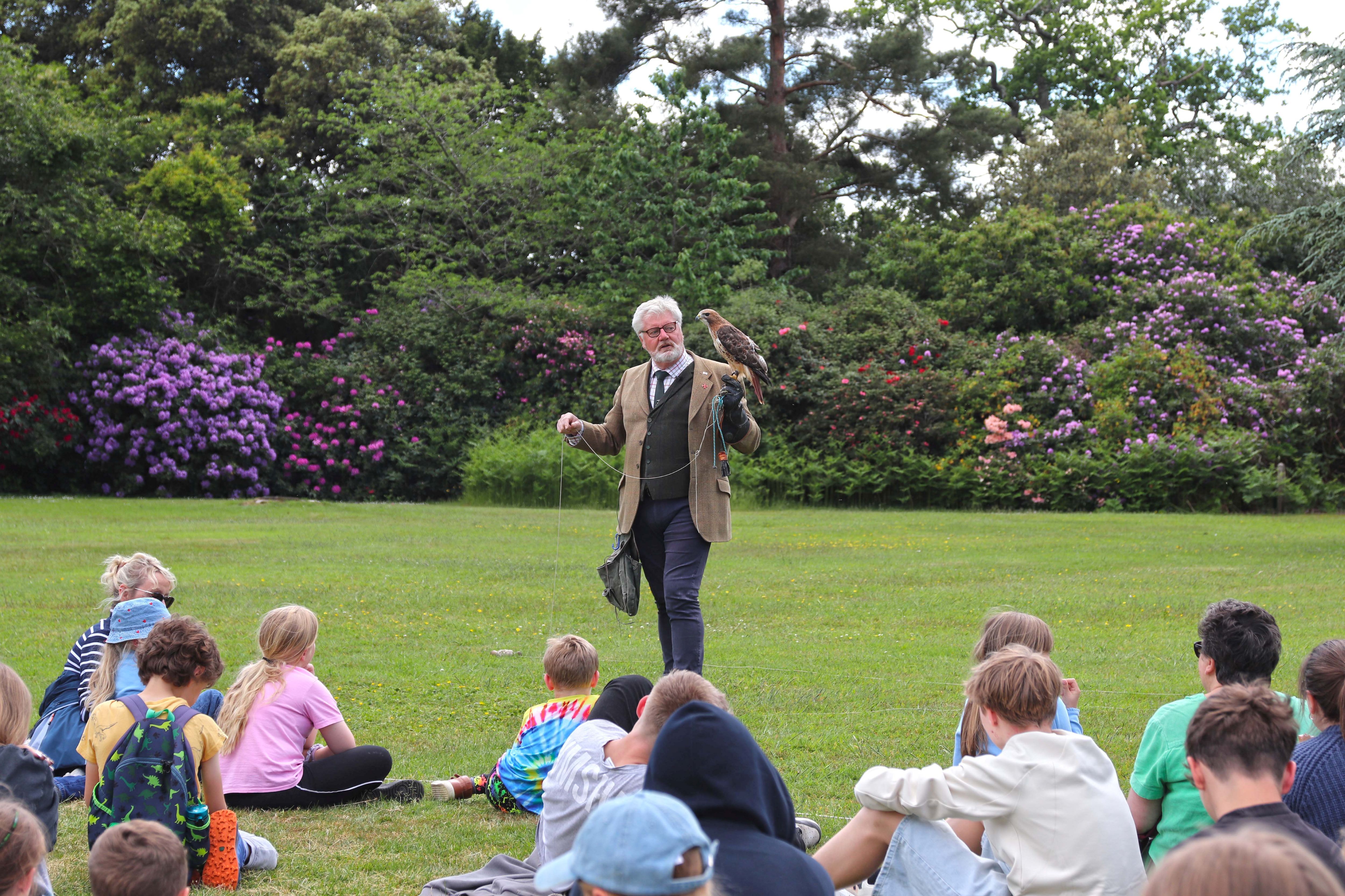 Falconry Displays At The History Reenactment Weekend