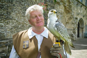 Desktop News Summer Falconry870x580