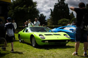 Miura 600X400