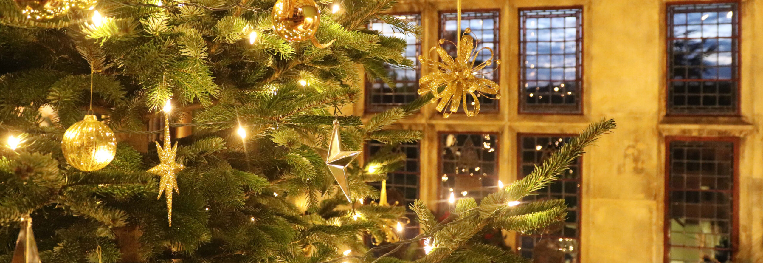 25Ft Tall Tree In Palace House Headerw870px H300px Scaled