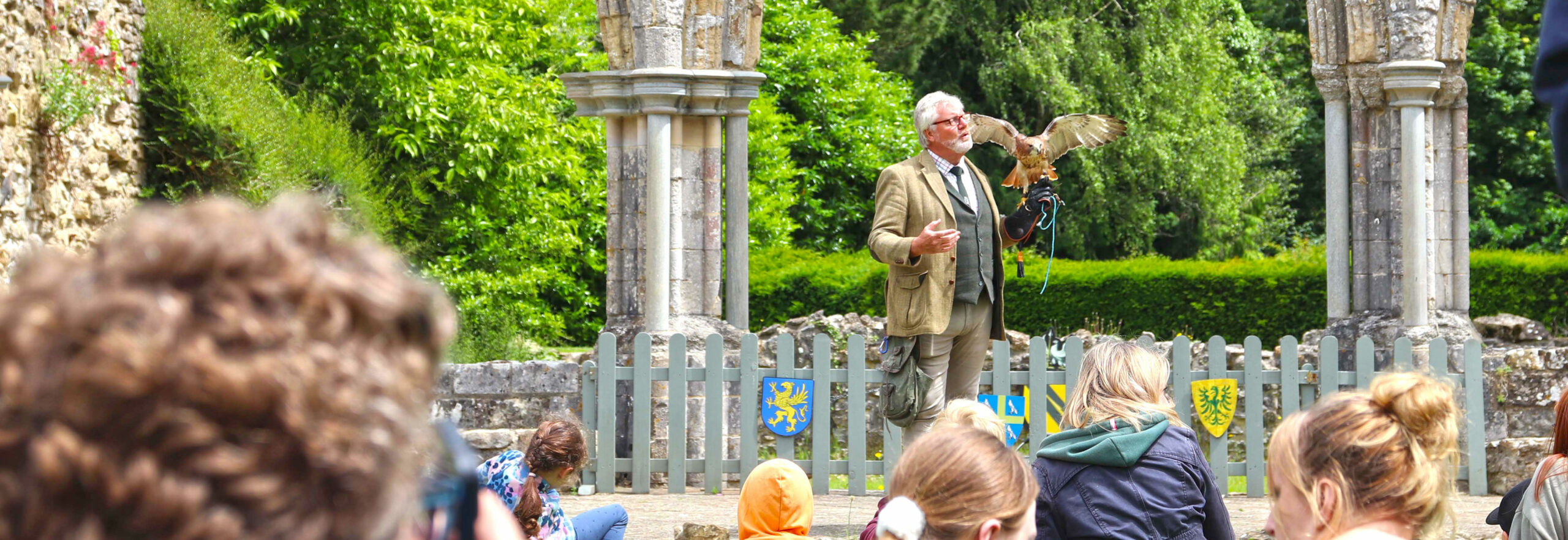 Falconer Headerw870px H300px Scaled