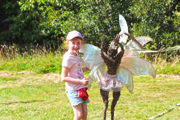 New Forest Folklore Fairies Witches Dragon Trail 6870Px H580px 600X400
