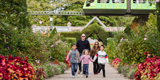 Grounds And Gardens Family At Beaulieu 2