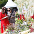 Garden Inspiration