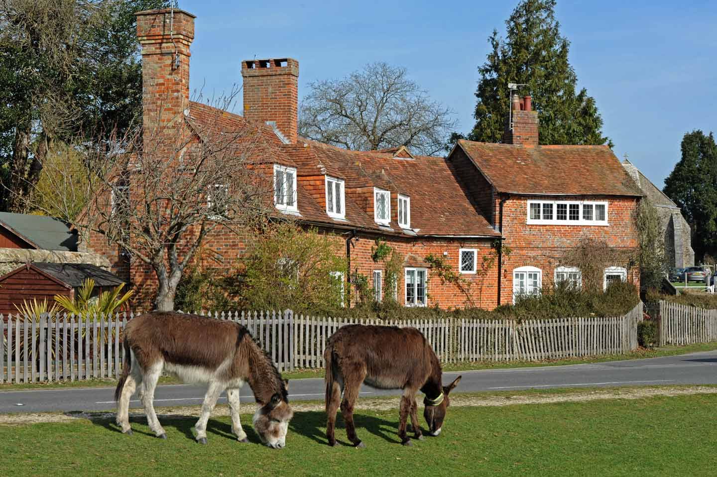 Things To Do In The New Forest, Beaulieu Hero