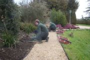 Desktop News Palace House Blog Gardening Team Spring