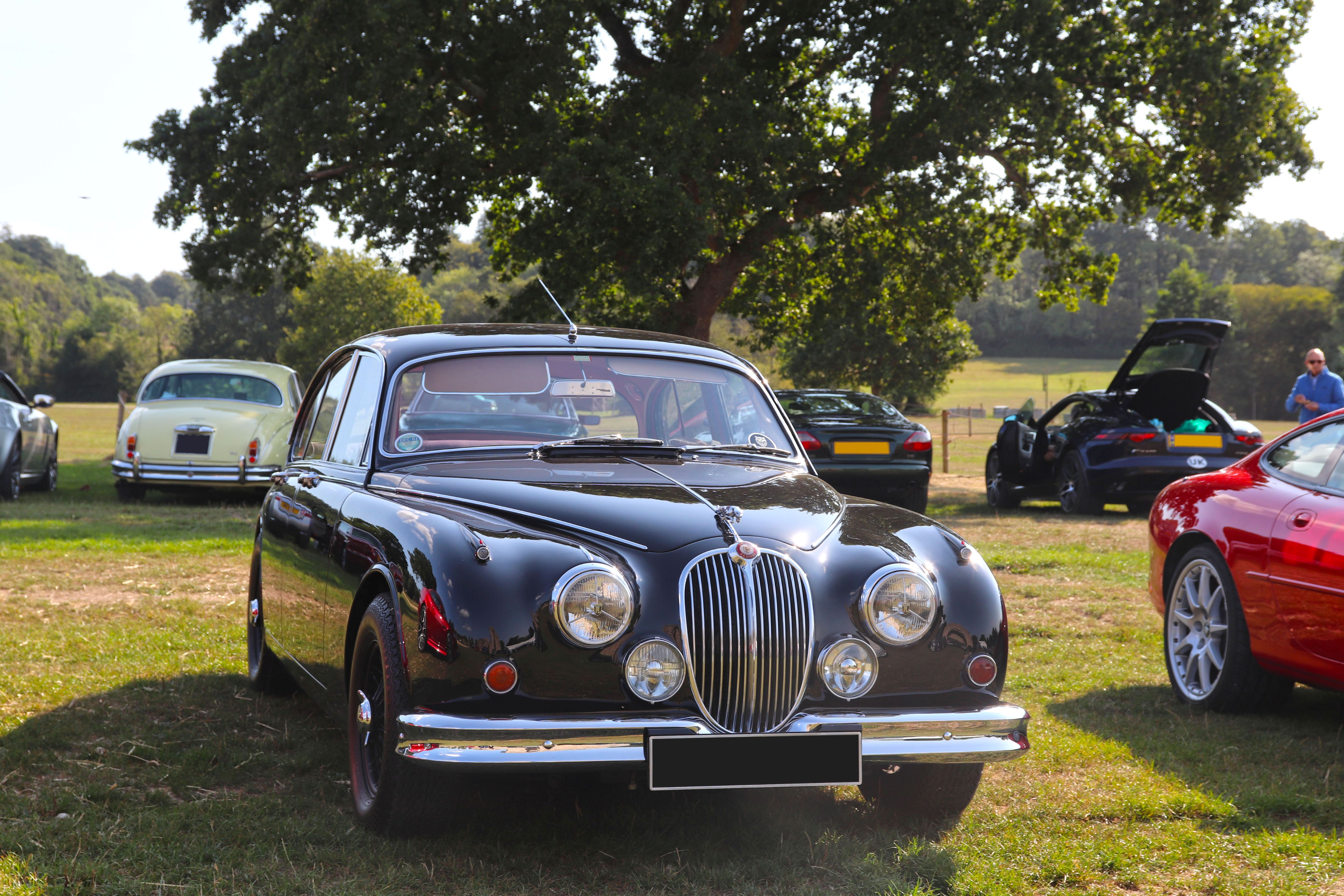 Simply Jaguar 2