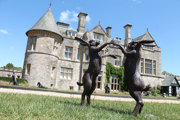 Boxing Hares By Martin Duff