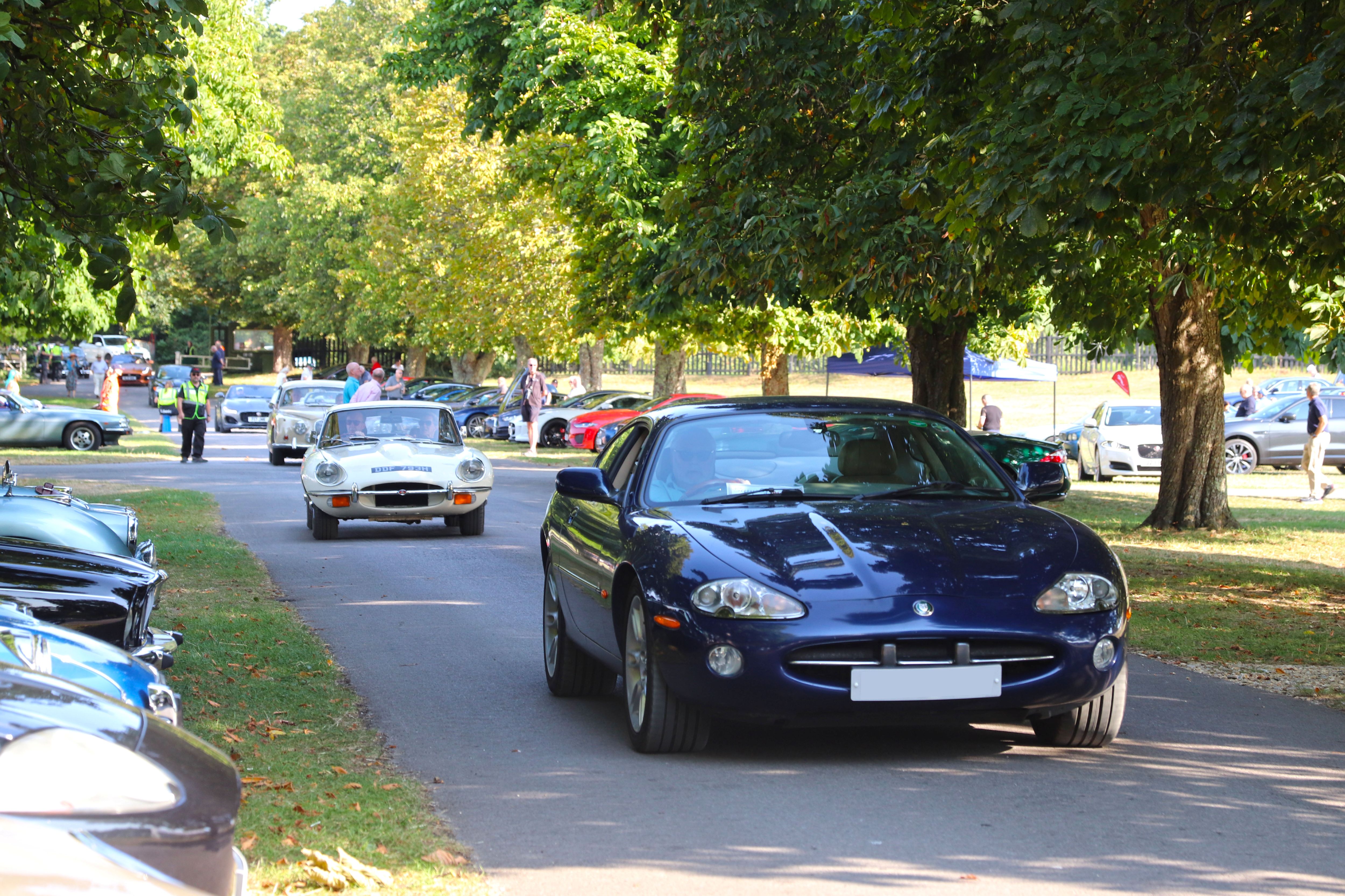 Simply Jaguar 1