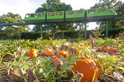 Autumn At Beaulieu 2 1