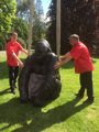 Joy And John Cox Gorilla 1