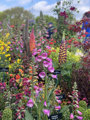 2Gardeners World Spring Fai