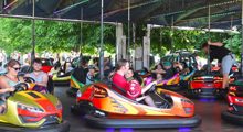 Dodgems 600X328
