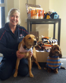 Desktop News Harbour Master Wendy Stowe With Doggy Products 870X580