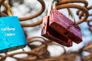 Lovelock Tree Locks