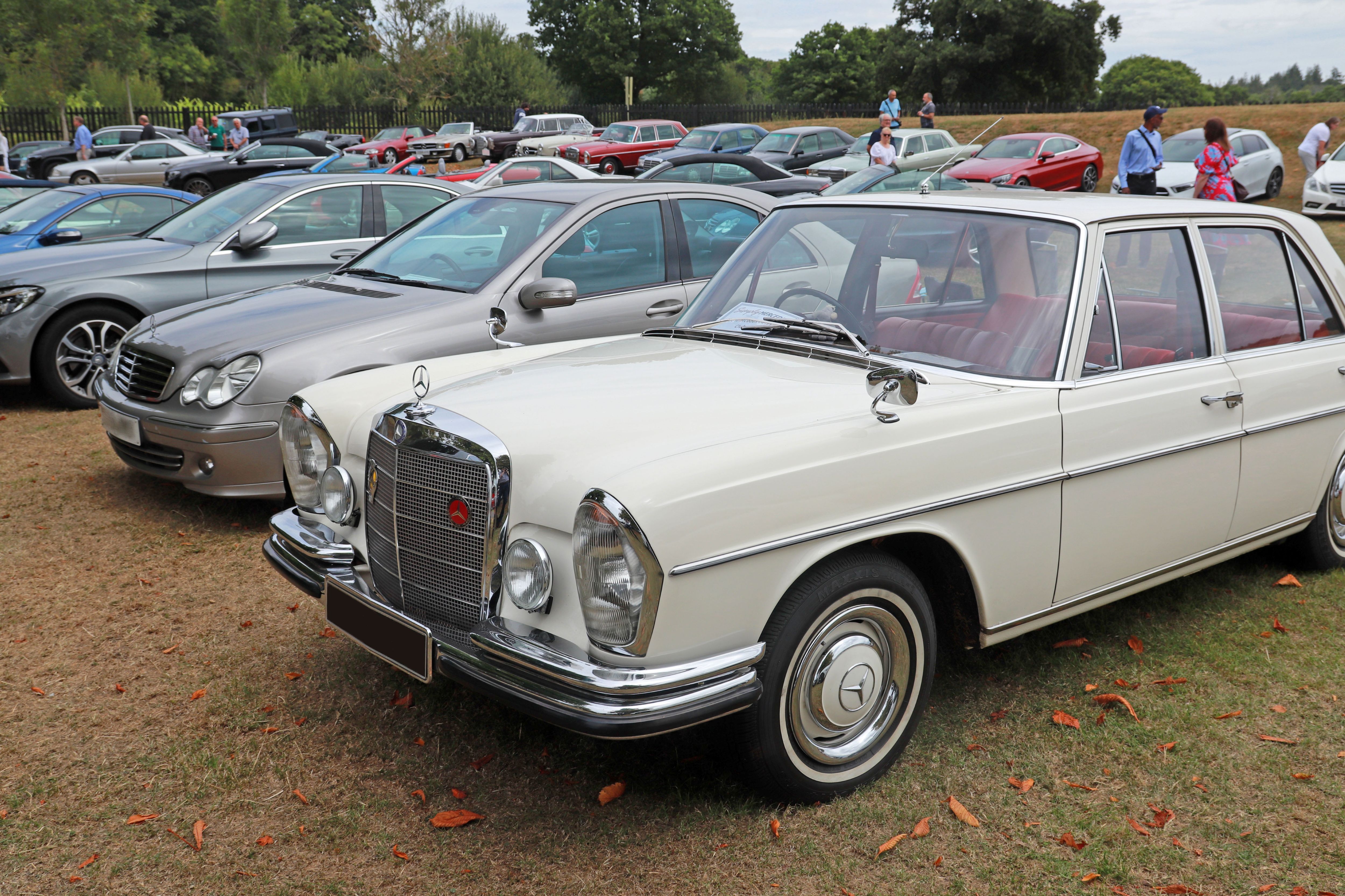 Simply Mercedes 1