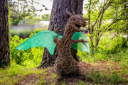 New Forest Folklore Fairies Witches Dragon Trail 3W870px H580px 600X400