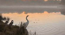 Beaulieu River Photo Comp Runner Up Sarah Webber (1)