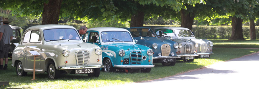 A35 Banner