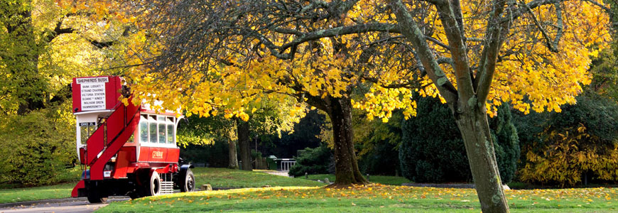 Autumn Banner