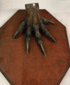Desktop News Palace House Blog Mystery Claw (1)
